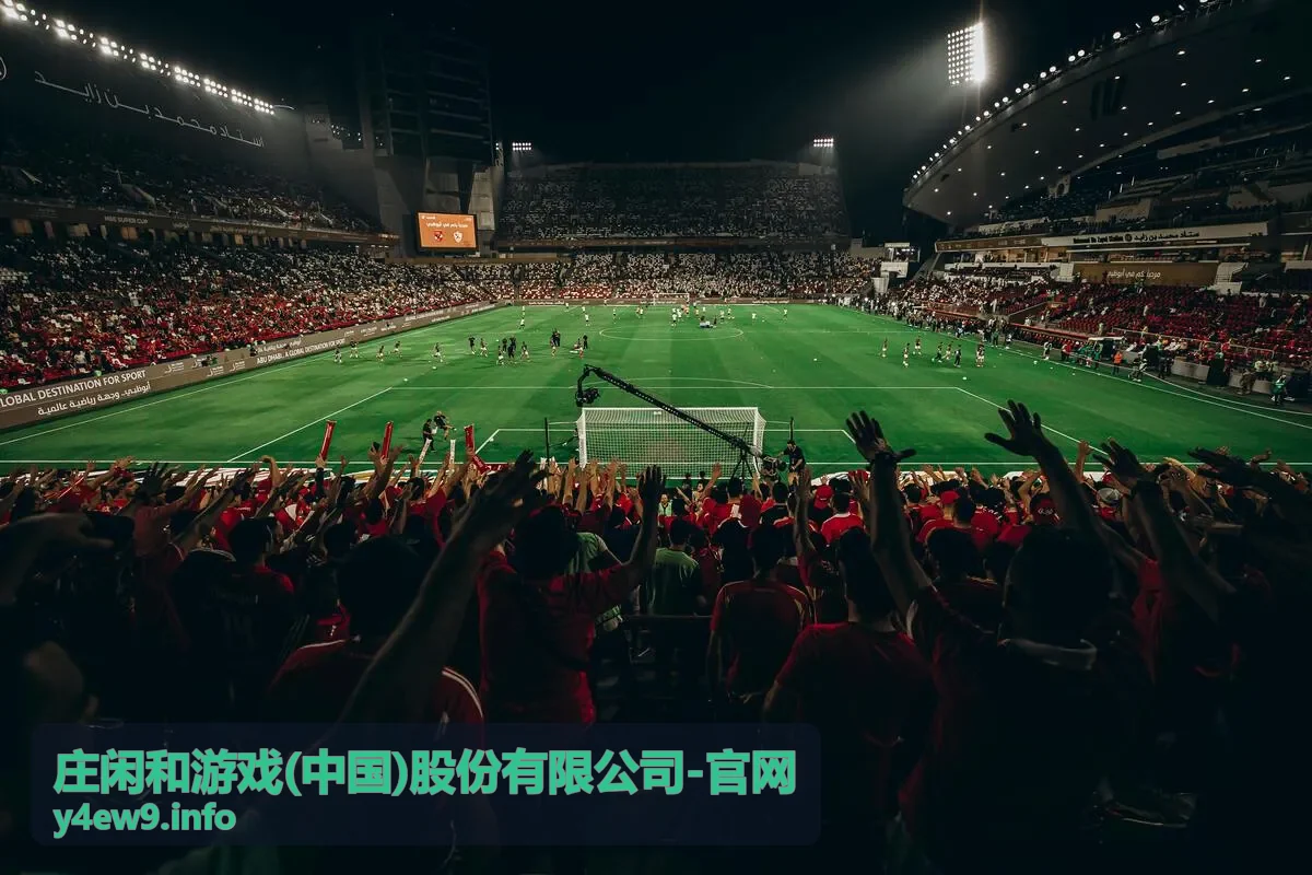 庄闲和游戏玩法指南封面